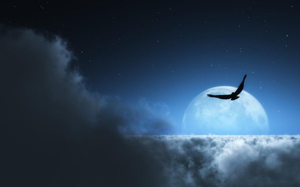 Sognare di volare