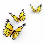Farfalle gialle