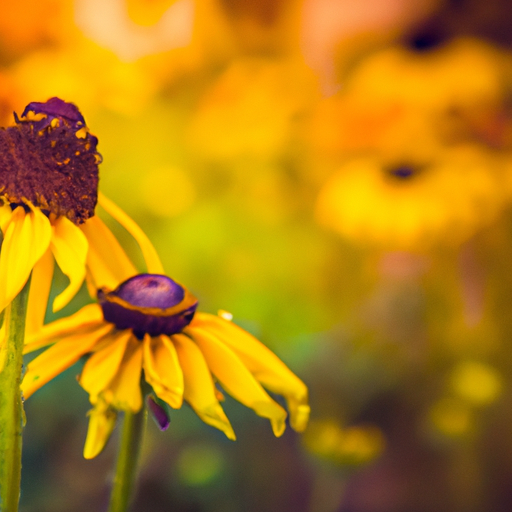 Sogno fiori gialli